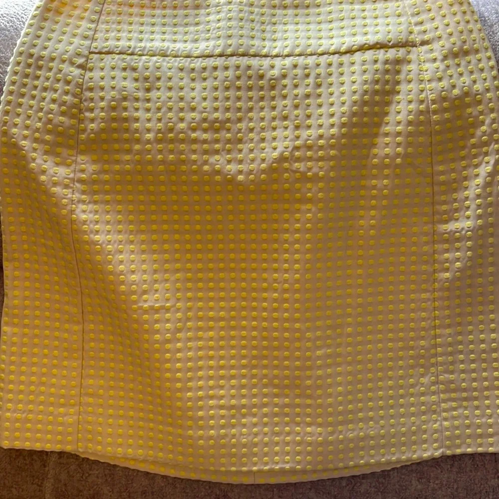 Loft dots skirt